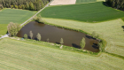 Erlenweiher