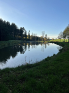 Schmiedweiher