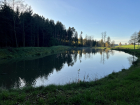 Schmiedweiher