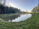 Schmiedweiher