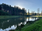 Schmiedweiher