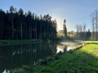 Schmiedweiher