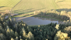 Schmiedweiher