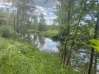 Tirschenreuther Waldnaab zwischen Falkenberg und Hammermühle