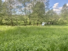 Tirschenreuther Waldnaab zwischen Falkenberg und Hammermühle