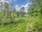 Tirschenreuther Waldnaab zwischen Falkenberg und Hammermühle