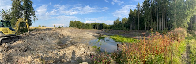 Schmiedweiher im Septermber 2021